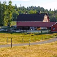 Beaver Creek Charolais Ranch images 6