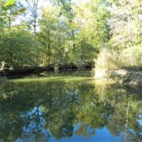Panther Branch Preserve