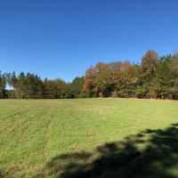 Panther Branch Preserve images 4