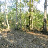 Panther Branch Preserve images 5