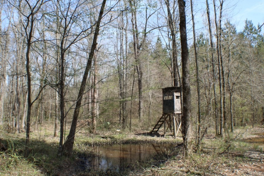 76 Acres in Madison County in Carthage  MS featured image