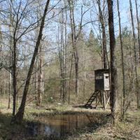 76 Acres in Madison County in Carthage  MS
