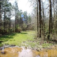 76 Acres in Madison County in Carthage  MS images 2