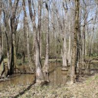 76 Acres in Madison County in Carthage  MS images 4