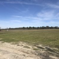 Working Farm &nbsp; Timber