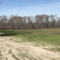 Working Farm &nbsp; Timber images 3
