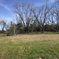 Working Farm &nbsp; Timber images 4
