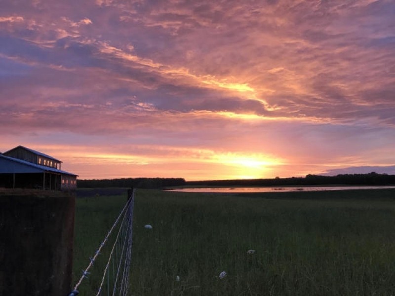 Lost Prairie Farm Cattle  Timber  Barndominium  Lake  NE MS featured image
