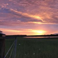 Lost Prairie Farm Cattle  Timber  Barndominium  Lake  NE MS