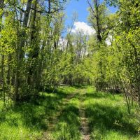 Ranch on the Blacks Fork River images 6