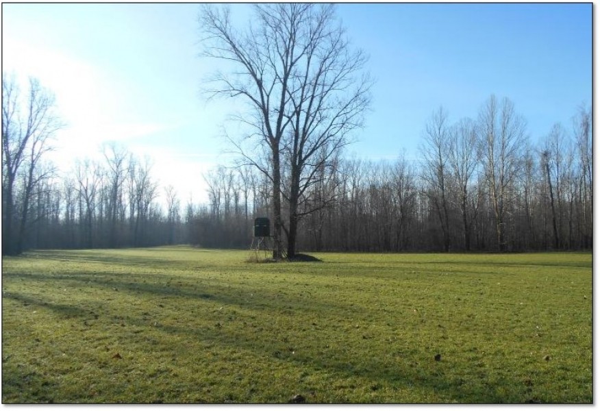 Equity Share in Warren County at Willow Brake Hunt Club featured image
