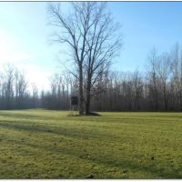 Equity Share in Warren County at Willow Brake Hunt Club