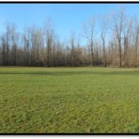 Equity Share in Warren County at Willow Brake Hunt Club images 3