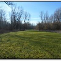 Equity Share in Warren County at Willow Brake Hunt Club images 5