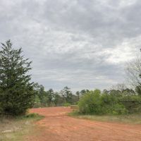 93 Acres &nbsp; CR 2864 &nbsp; Tract 1017 images 4