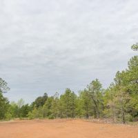 93 Acres &nbsp; CR 2864 &nbsp; Tract 1017 images 6