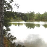 95 Acres in Hinds County in Midway  MS images 1