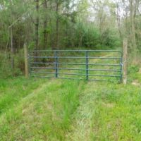 95 Acres in Hinds County in Midway  MS images 2
