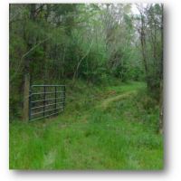 95 Acres in Hinds County in Midway  MS images 3