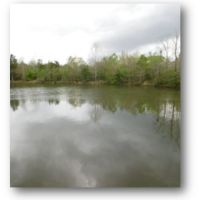 95 Acres in Hinds County in Midway  MS images 4