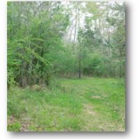 95 Acres in Hinds County in Midway  MS images 5