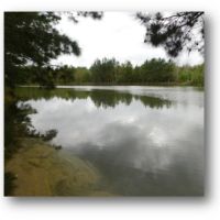 95 Acres in Hinds County in Midway  MS images 6
