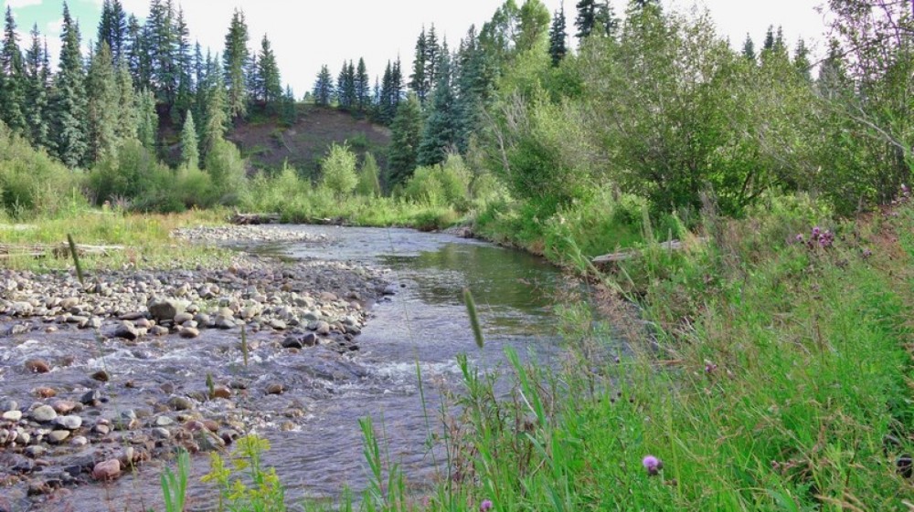 Piedra Forks Ranch featured image