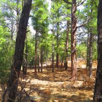 B78 Santa Fe Trail Ranch images 4
