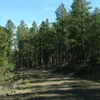 B78 Santa Fe Trail Ranch images 6