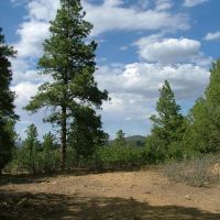 D31 Santa Fe Trail Ranch images 6