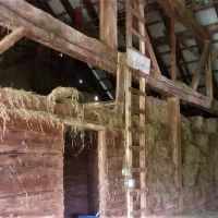 212 acres Livestock Farm Maryland NY images 5