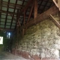 212 acres Livestock Farm Maryland NY images 4