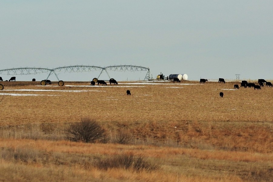 Productive Farm &nbsp; Ranch For Sale by Auction in Gosper County  NE featured image