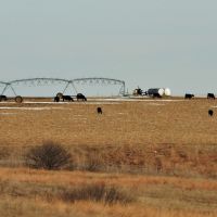 Productive Farm &nbsp; Ranch For Sale by Auction in Gosper County  NE