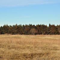 Productive Farm &nbsp; Ranch For Sale by Auction in Gosper County  NE images 6