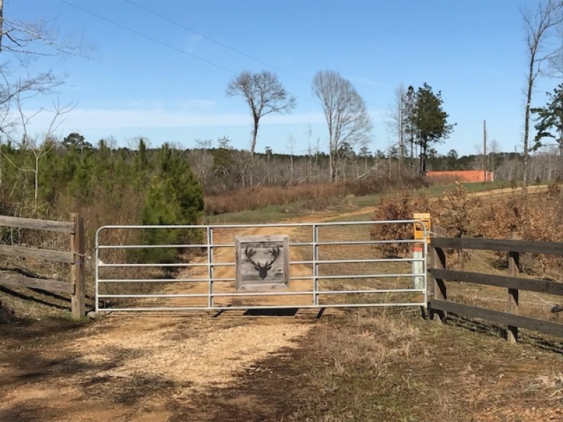 250 Acres Wilkinson County  MS  Turn Key hunting Property featured image