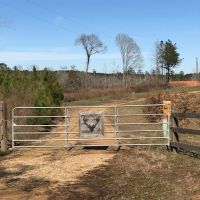 250 Acres Wilkinson County  MS  Turn Key hunting Property