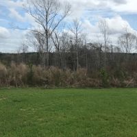 250 Acres Wilkinson County  MS  Turn Key hunting Property images 3