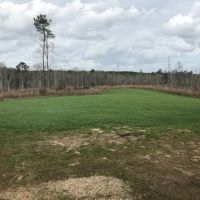 250 Acres Wilkinson County  MS  Turn Key hunting Property images 5