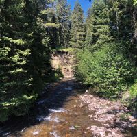 Dancing Bear Ranch images 2