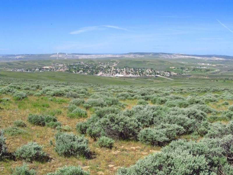 Oyster Ridge Acreage featured image