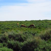 Oyster Ridge Acreage images 2