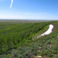 Oyster Ridge Acreage images 3