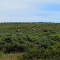 Oyster Ridge Acreage images 5