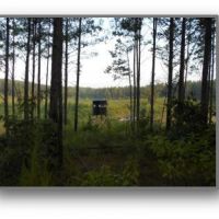 336 Acres in Lafayette County in Oxford  MS images 1