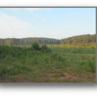 336 Acres in Lafayette County in Oxford  MS images 2