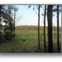 336 Acres in Lafayette County in Oxford  MS images 3