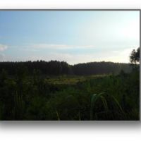 336 Acres in Lafayette County in Oxford  MS images 4
