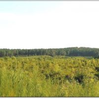 336 Acres in Lafayette County in Oxford  MS images 6