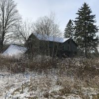 81 acres Timberland in Westdale NY 00 Westdale Road images 2
